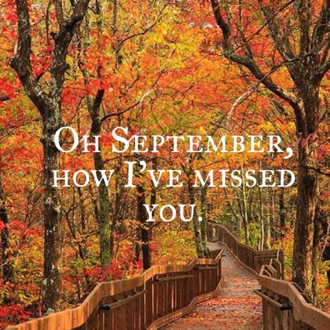 Hello September Sunflower, September Ends Quotes, Fall Is My Favorite Season Quotes, Goodbye September Hello October Quote, Qoutes About Fall Season, Quotes For Autumn Season, Hello September Quotes, September Images, September Quotes