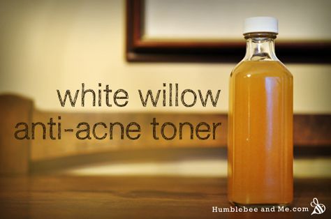 White Willow Bark, Acne Toner, Diy Rose, Diy Skin Care Recipes, White Willow, Willow Bark, How To Get Rid Of Acne, Skin Cleanser Products, Skin Care Recipes