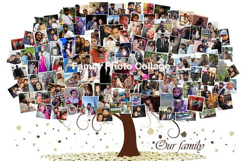 Family Photo Collage – How to Decorate ... Photo Collage Frames, Family Tree Collage, Decorate House, Photo Collage Diy, Family Tree Photo, Heart Photo Collage, Family Collage, Family Photo Collages, Walmart Photos