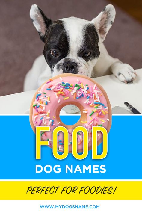 Desserts Names List, Food Dog Names, Food Names For Dogs, Puppy Names Unique, Unique Name Ideas, Puppies Names Female, Big Dog Names, Funny Dog Names