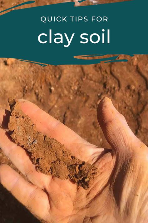 How to distinguish between different soil types? How to treat different types of clay soil. Dispersive clay soil Non-dispersive clay soil Easy pH testing Ph Testing, Clay Soil Plants, Germinate Seeds, Types Of Clay, Soil Types, Garden Maintenance, Clay Soil, Design Garden, Garden Irrigation