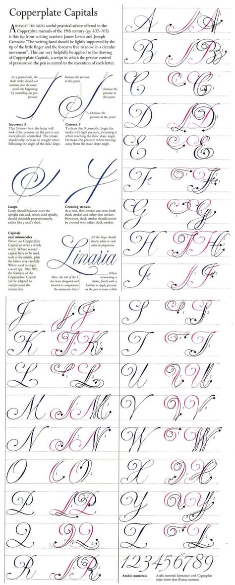 Copperlate Capitals | Hand lettering alphabet, Hand lettering, Hand lettering fonts Caligrafia Copperplate, Tato Mandala, Fancy Cursive, Calligraphy Fonts Alphabet, Lettering Styles Alphabet, Fancy Writing, Calligraphy Tutorial, Copperplate Calligraphy, Calligraphy For Beginners