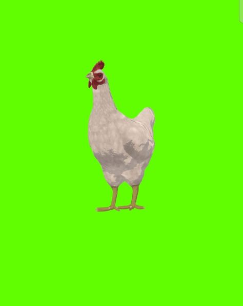 Hen green screen image Green Screen Images, Cartoon Maker, Cow Colour, Nature Background Images, Cow Face, Nature Background, Chicken Humor, Nature Backgrounds, Green Screen