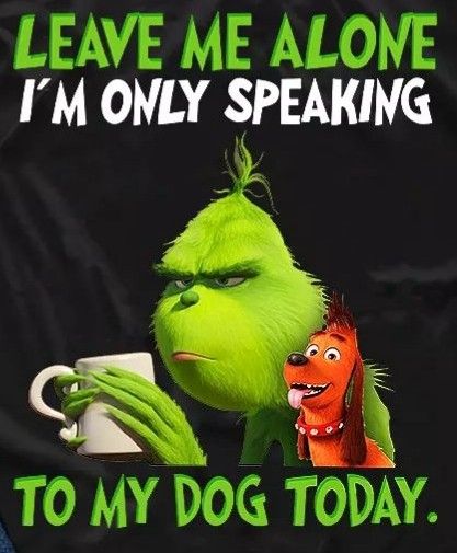 Christmas Quotes Grinch, Grinch Memes, Grinch Images, Funny Mean Quotes, Grinch Quotes, Mr Grinch, Cute Christmas Wallpaper, Christmas Phone Wallpaper, Funny Cartoon Quotes