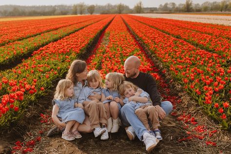 Tulip fields family photoshoot | Tulip fields photographer | Tulip Field Family Photoshoot, Family Photos Tulip Field, Pictures In Tulip Fields, Tulip Feild Pics, Netherlands Tulip Fields Photography, Flower Photoshoot, Tulip Festival, Tulip Fields, Family Photoshoot