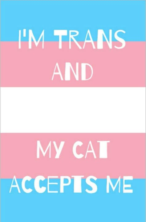 Transgender Quotes, Lgbtq Quotes, Trans Art, Trans Boys, Trans Flag, Lgbtq Funny, Gay Memes, Trans Pride, Lgbt Pride