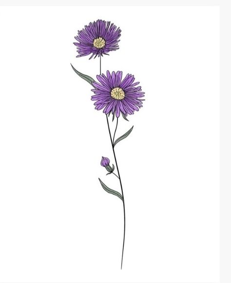 Aster Color Tattoo, Purple Aster Tattoo, Aster Flower Tattoo Color, Aster Flower Wallpaper, Purple Daisy Tattoo, Small Aster Flower Tattoo, Aster Flower Aesthetic, Purple Aster Flower, Aster Flower Tattoo