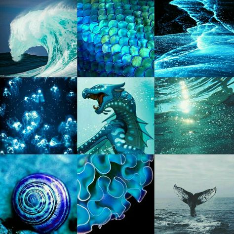 Tsunami aesthetic Wof Aesthetic, Tsunami Aesthetic, Wings Of Fire Aesthetic, Dragon Moodboard, Sea Drawing, Fire Book, Got Dragons, Wings Of Fire Dragons, Water Dragon