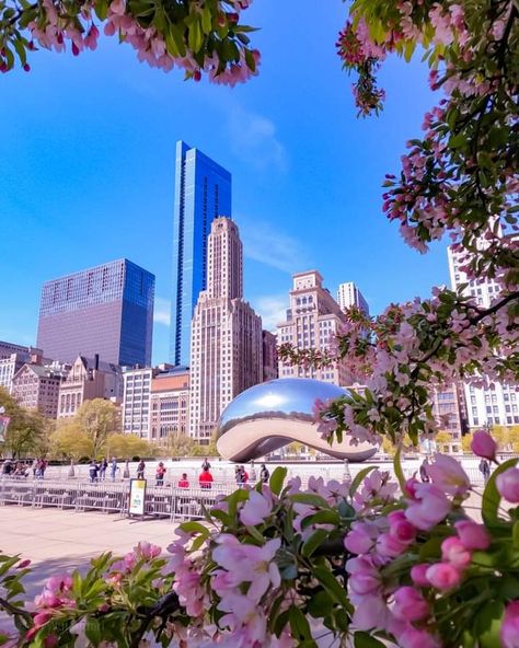 Chicago Spring Aesthetic, Spring In Chicago, Chicago Aesthetic Wallpaper, Chicago Wallpaper, Chicago Life, Chicago Spring, Chicago Aesthetic, Chicago Pictures, Chicago Street