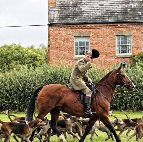 The Hunting Notice Board.com©️ on Instagram: “WANTED - STUD GROOM - THE WORCESTERSHIRE HUNT The Worcestershire Hunt are looking for a new Stud Groom to join their friendly team for the…” Fox Hunting Aesthetic, Aristocracy Aesthetic, British Hunting, Grooming Horse, Winter Moodboard, British Village, British Country Style, Horse Country, Fox Hunt