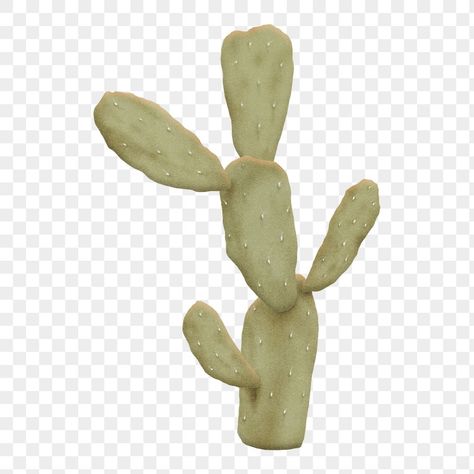 Simple Illustration Design, Cactus Png, Plant Cactus, Collage Scrapbook, Png Aesthetic, Desert Cactus, Cactus Plant, Simple Illustration, Desert Plants