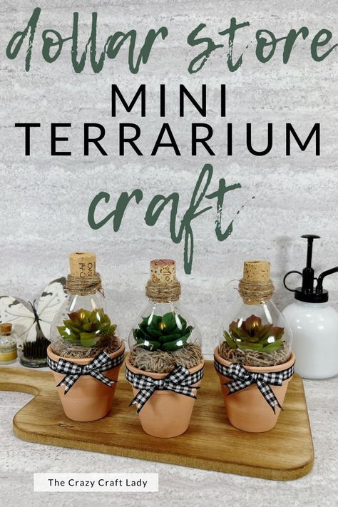 This Mini Terrarium Craft uses Dollar Store supplies making it an easy, fun, and inexpensive project to try. They are the perfect style for any home decor style. Mini Clay Pots Crafts, Mini Terra Cotta Pot Crafts, Mini Clay Pot Crafts, Mini Clay Pots, Terrarium Craft, Mason Jar Terrarium, Upcycle Crafts, Recycled Wine Corks, Clay Pot Projects