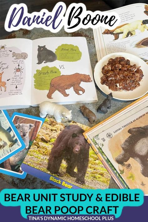 Daniel Boone Explorer Black Bear Unit Study and Fun Edible Bear Poop Daniel Boone Activities, Bear Unit Study, Mammals Activities, Ideas For Learning, American History Homeschool, Animal Lessons, North American Animals, Bear Hunt, Daniel Boone