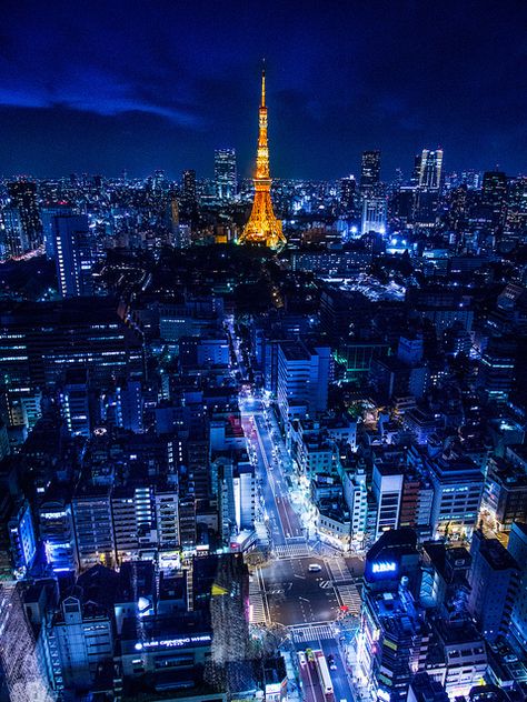 Tokyo, Japan at night is a sight to behold!  www.sundeviltravel.com Roppongi, Tokyo Tower, Japan Tokyo, Sapporo, The Eiffel Tower, Nagoya, Blade Runner, Fukuoka, Yokohama