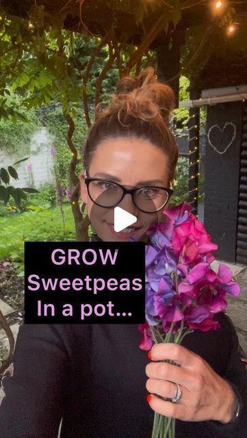 Sweet Pea Planting Ideas, Sweet Pea Growing Ideas, Sweet Peas Growing, Sweet Peas In Containers, Growing Sweet Peas, Bamboo Canes, Sweet Pea, Peas, Canning