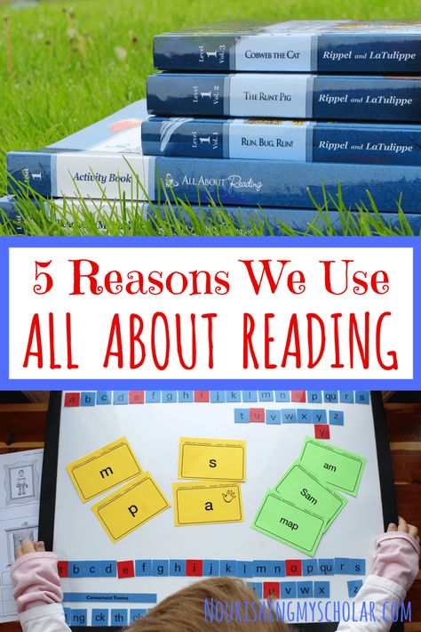 All About Reading Curriculum, Reading Curriculum Kindergarten, All About Reading Level 1, Homeschool Nook, All About Reading, Elementary Language Arts Activities, Intervention Activities, Reading Suggestions, Kindergarten Homeschool Curriculum