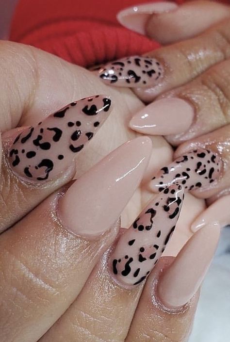 Ombre Leopard Nails, Leopard Christmas Nails, Glitter Cheetah Nails, Snow Leopard Nails, Leopard Print Nail Art, Animal Print Nails Art, Cheetah Nails, Pumpkin Nails, Leopard Print Nails