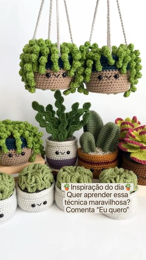 Plantas A Crochet, Crochet Plant Pattern, Crochet Cactus Pattern, Succulent Pattern, Crochet Succulent, Crochet Garden, Cactus Pattern, Crochet Cactus, Crochet Plant