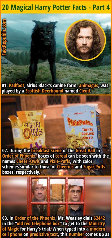 movies films hollywood harrypotter Sirius Black Animagus, Sirius Black Dog, Harry Potter Facts Unknown, Sirius As A Dog, Daily Prophet Sirius Black, Harry Potter Broomstick, Sirius Black Dog Form, Harry Potter Fun Facts, Hp Facts