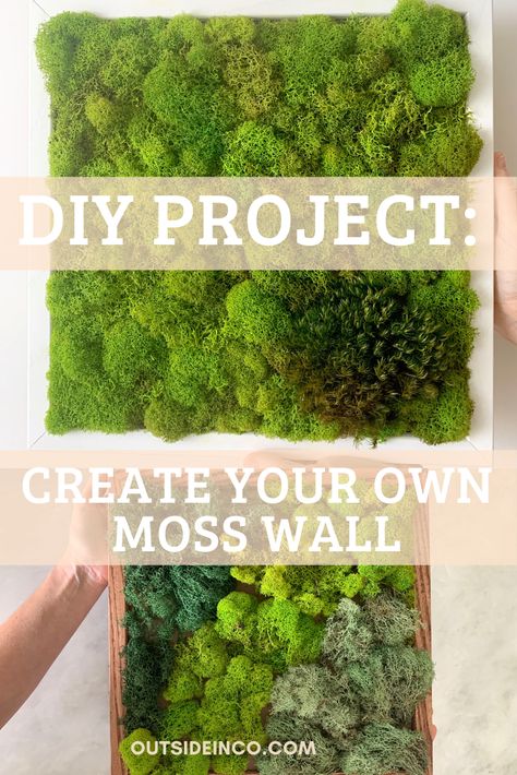 Making A Moss Wall, Real Moss Wall Diy, Living Moss Wall Art Diy How To Make, Diy Moss Wall Art How To Make, Indoor Moss Wall Diy, How To Make Living Moss Wall Art, Live Moss Wall Art Diy How To Make, Diy Moss Art Wall, Moss Canvas Diy