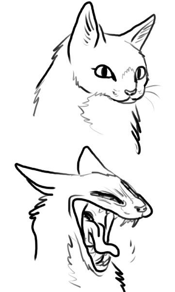 Not my art! Cat Refrences Drawings, Yawning Cat Drawing, Cursed Cat Drawing, Person Holding Cat Drawing Reference, Yawning Drawing Reference, Angry Cat Drawing, Cat Pupils, Cat Face Drawing, Maine Coone