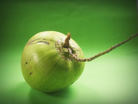 Sudahkah anda mengetahui manfaat dari air kelapa dan pengaruhnya bagi tubuh setelah berolahraga? Banyak sekali manfaat yang bisa kita temukan dalam air kelapa, tidak hanya kaya nutrisi. Air kelapa juga bisa anda konsumsi kapan pun, baik saat olahraga maupun setelahnya … Readmore Coconut Oil Eyebrows, Coconut Wine, Coconut Milk Benefits, Coconut Milk Uses, Toddy Recipe, Coconut Oil Coffee, Homemade Cocktails, Air Kelapa, Raw Coconut