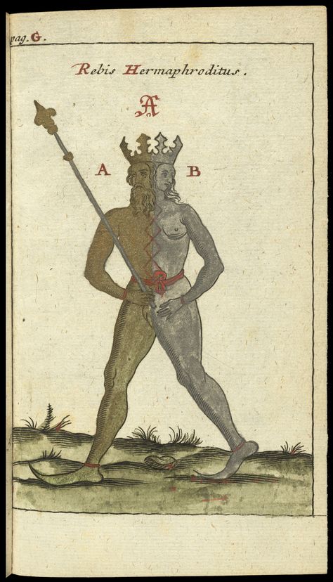 Rebis Hermaphroditus, 1706, Johann Michael Faust. Engraving, hand-colored. The Getty Research Institute. Medieval Illustrations, Queer History, Kalki Avatar, Alchemy Art, Occult Symbols, Esoteric Art, Occult Art, Ancient Knowledge, Research Institute