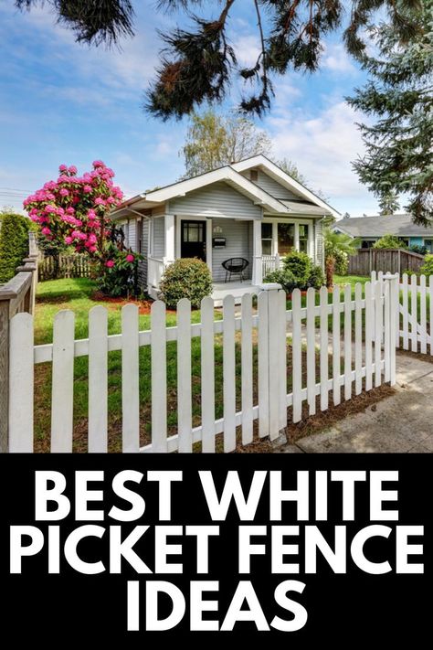 White Picket Fence Front Yard Cottage, White Picket Fence Ideas, White Picket Fences, Modern White Picket Fence Front Yard, Front Picket Fence Ideas, Picket Fences And Gates, White Fencing Front Yard, Dog Ear Picket Fence, Small Picket Fence Ideas Front Yard