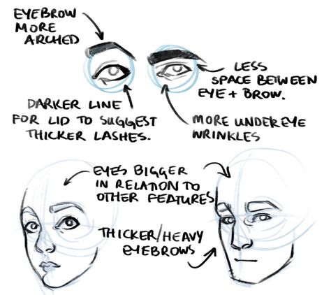 How do you differentiate masculine and feminine features (especially eyes) in drawing? Thanks! So I might just go over eyes here and do a bigger tutorial/video about the masculine/feminine features in... Realistic Eye Drawing, Anatomy Drawing, Anatomy Reference, Art Tutorials Drawing, Eye Drawing, Art Tips, Drawing Tips, Drawing Techniques, Art Reference Photos