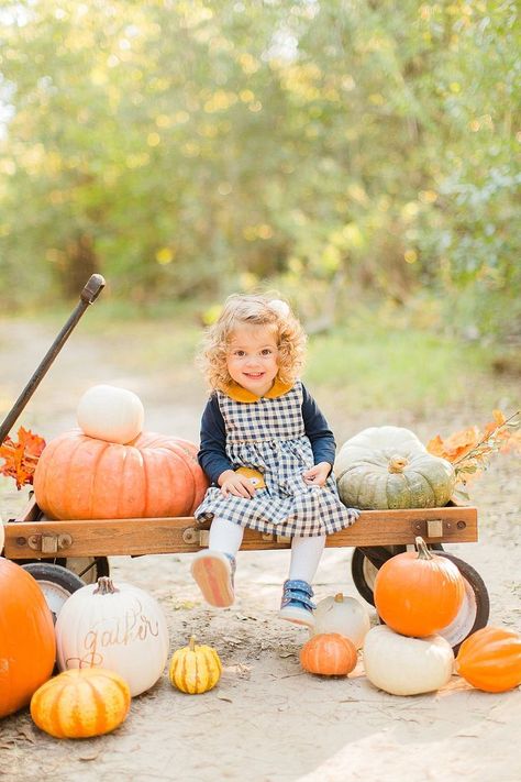 Fall Pictures Kids, Fall Mini Shoot, Fall Baby Photos, Fall Baby Pictures, Pumpkin Patch Photoshoot, Pumpkin Patch Pictures, Toddler Pictures, Photo Halloween, Toddler Photoshoot