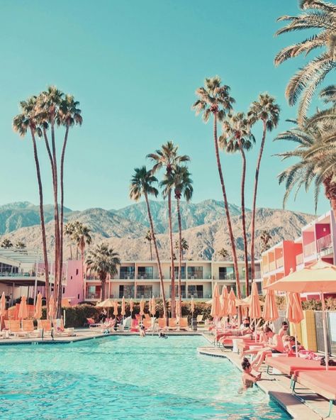 SMUG ALERT 🚨 19 days and counting ! ⏰⏰⏰ 🎫 ✈️ 🏜️🌵 Can’t wait to revisit one of my favourite places on the planet 🌍 for a work and play trip and more so a chance to connect with some of my dearest friends @michelleboudreaudesign @robinnwilliams . I will definitely be visiting my dream hotel @parkerpalmsprings 🍹🍹🍹 with its heavenly interiors ✨✨✨ 🌵🌵🌵🌵 #theforevercurates #interiorstyling #palmsprings #workandplay #countdown #interiordesign #art #modernism #curates #homestyle #midcentury #con... Palm Tree Architecture, Swimming Pool Print, Saguaro Hotel, Palm Springs Pool, Dream Hotel, Santa Cruz Beach Boardwalk, Palm Springs Hotels, Santa Cruz Beach, Western Prints