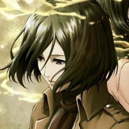 Attack On Titan Mikasa, Attack On Titan Icons, Aot Icons, Anime Hands, Eren And Mikasa, Anime Cover Photo, Twitter Layouts, Titan Anime, Pfp Icons