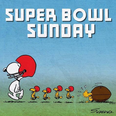 Danny Amendola, Snoopy Comics, Peanuts Comic Strip, Peanuts Cartoon, Super Bowl Sunday, Snoopy Pictures, Snoop Dog, Joe Cool, Sunday Quotes