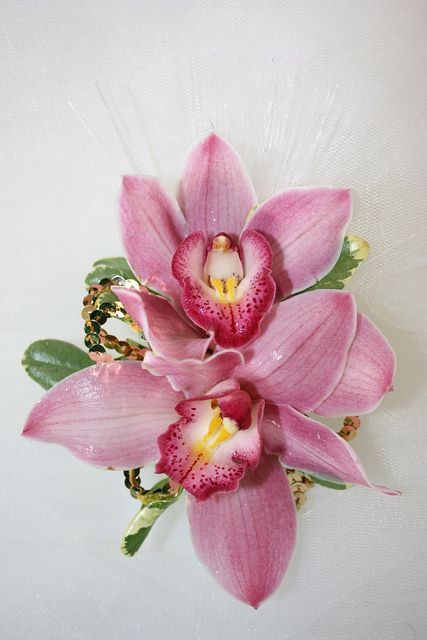 Prom Corsage Diy, Orchid Corsages, Prom Corsage And Boutonniere, Diy Corsage, Cymbidium Orchid, Prom Corsage, Corsage And Boutonniere, Corsage Prom, Prom Flowers