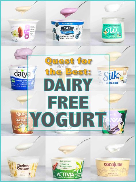 Quest for the Best – Dairy Free Yogurt Yogurt Alternatives Dairy Free, Non Dairy Yogurt, Yogurt Alternatives, Dairy Free Yogurt Recipe, Dairy Free Greek Yogurt, Protein Chart, Coconut Milk Yogurt, Almond Milk Yogurt, Protein Cereal