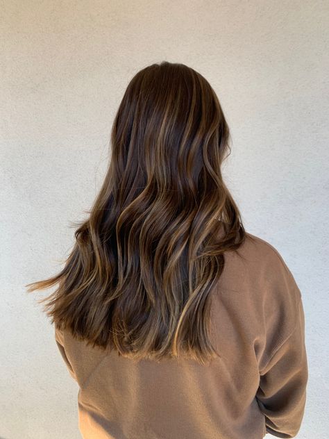 Long Layer Brown Hair With Highlights, Brown Hair With Partial Balayage, Hazel Balayage, Bruslight Hair, Dimensional Light Brunette, Lived In Haircut, Brown Hair With Caramel Lowlights, Brushlight Hair Brown, Cappuccino Brown Hair