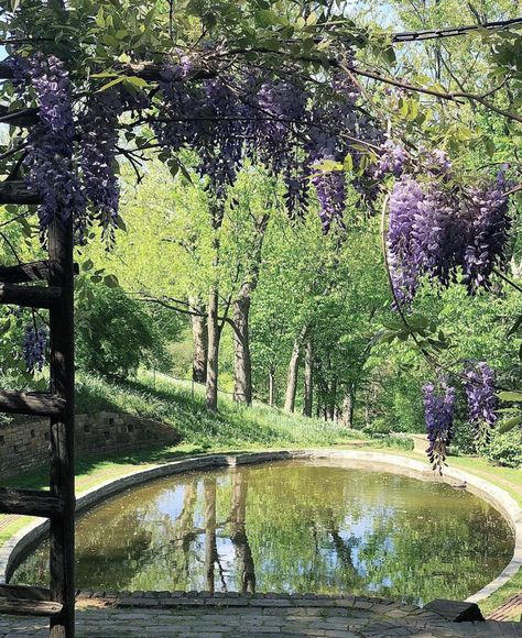 Dumbarton Oaks Garden, Dumbarton Oaks, Dc Trip, Content Inspiration, Dc Travel, Nature Painting, Courthouse Wedding, Nature Paintings, Front Garden