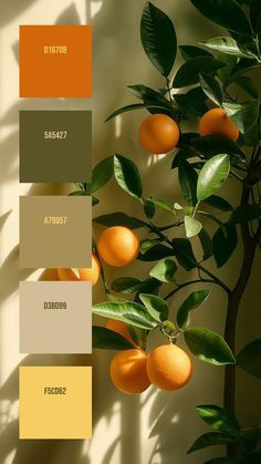 Orange And Tan Color Scheme, Floral Color Schemes, Earthy Tones Colour Palette, Gold Complimentary Colors, Color Palettes With Yellow, Colors That Go With Light Yellow, Unexpected Color Combinations, Colors That Compliment Yellow, Healthy Colour Palette