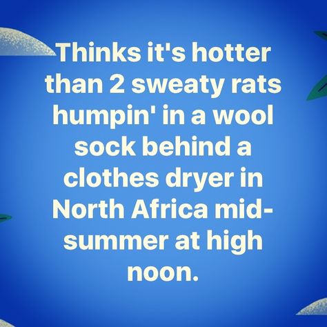 It's hotter then Its Hotter Than Quotes Funny, Get Hotter, High Noon, Belly Laughs, Wool Socks, It's Hot, Quotes Funny, Bones Funny, Things To Think About