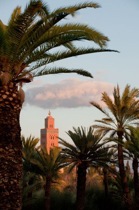 Royal Mansour Marrakech | Paysage maroc, Fond d'écran maroc, Photo maroc Royal Mansour Marrakech, Morocco Aesthetic, Mountain Photos, Pretty Princess, Morocco Travel, Marrakech Morocco, المملكة العربية السعودية, Charming Garden, Islamic Architecture