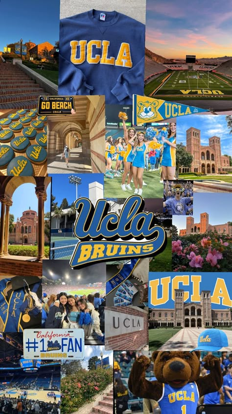 Dream college 😍 Ucla College Aesthetic, Ucla Law School, Ucla Grad Cap, College Dream Board, Dream College Aesthetic, Dream College Vision Board, Csulb Campus, Ucla Campus Aesthetic, American College Aesthetic