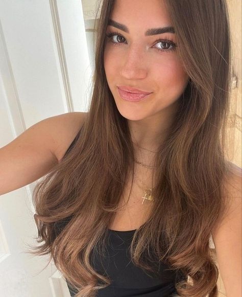 Natural Brunette, Light Brunette Hair, Rambut Brunette, Light Brunette, Brown Hair Inspo, Smile Selfie, Brunette Hair With Highlights, Brown Hair Brown Eyes, Girl With Brown Hair