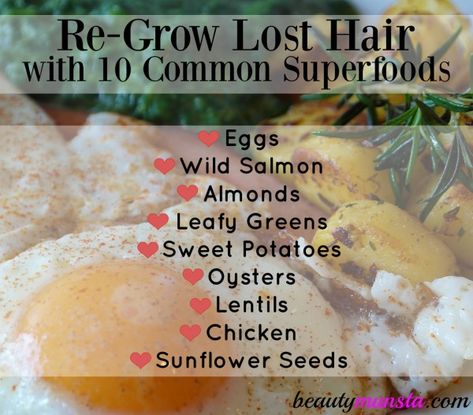 Below are 10 powerful superfoods for hair regrowth. Add these to your diet and soon you’ll have a healthy head of hair! Hair Conditioner Recipe, Natural Beauty Hacks, Thicken Hair Naturally, Natural Hair Regrowth, Conditioner Recipe, Shea Butter Hair, Healthy Hormones, For Healthy Hair, Regrow Hair