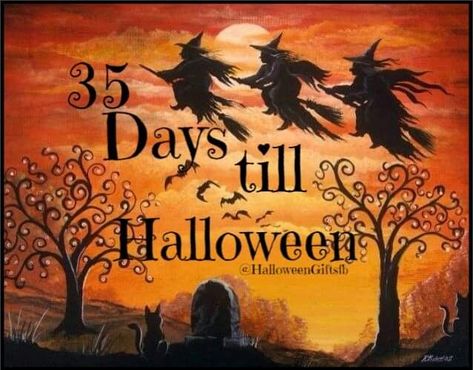 Days Till Halloween, Days Until Halloween, Halloween Countdown, Halloween Queen, Queen, Halloween, Movie Posters, Film Posters