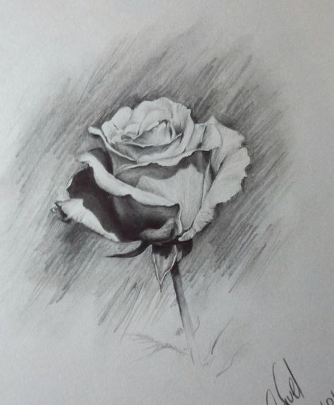 Flower Bouquet Drawing Realistic, Bouquet Sketch, Realistic Flower Drawing, Bouquet Drawing, Flower Bouquet Drawing, White Rose Bouquet, Drawing Realistic, Flowers Drawing, Rose Bouquet