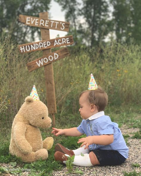 Winnie The Pooh Photoshoot Ideas, Winnie The Pooh Birthday Photo Shoot, Winnie The Pooh Baby Photo Shoot, Winnie The Pooh First Birthday Pictures, Vintage Winnie The Pooh Photo Shoot, Vintage Pooh Birthday Party, Vintage Winnie The Pooh 1st Birthday, Winne The Pooh 1st Birthday, Vintage 1st Birthday Boy