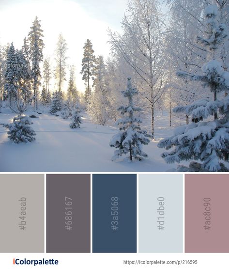 Color Palette For Home, Blue Bed, Color Palette Ideas, Winter Color Palette, Color Schemes Colour Palettes, Palette Ideas, Bedroom Color Schemes, Color Palate, Color Palette Design