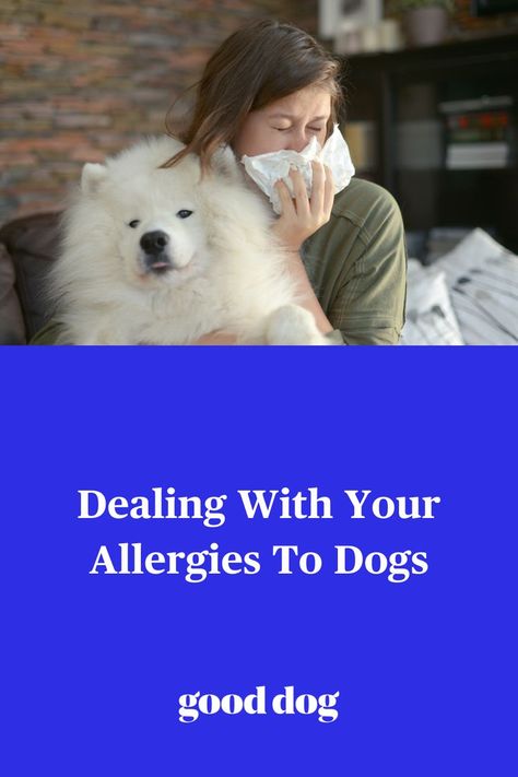 Allergic To Dogs Remedies, Natural Remedies For Hives, Dog Allergies Remedies, Dog Allergy Symptoms, Allergy Shots, Allergic To Dogs, Allergic Rhinitis, Kids Allergies, Allergy Awareness