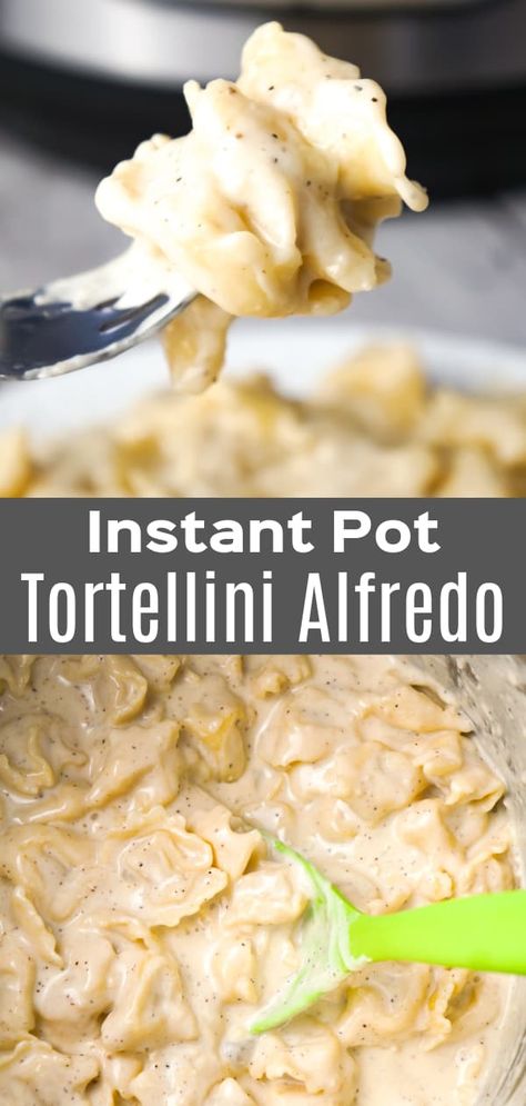 Instant Pot Tortellini Alfredo is a delicious pressure cooker pasta recipe made with refrigerated three cheese tortellini, garlic puree, heavy cream, mozzarella and Parmesan cheese. Pressure Cooker Tortellini Recipes, Pressure Cooker Tortellini, Instant Pot Chicken And Tortellini, Instant Pot Tortellini Alfredo, Instant Pot Cheese Tortellini Recipes, Instant Pot Recipes Tortellini, Instant Pot Chicken Tortellini Alfredo, Instant Pot Frozen Tortellini Recipes, Insta Pot Tortellini Recipes