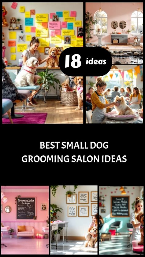 Get inspired and boost your small dog grooming salon with these top 10 creative ideas. Enhance your business and ensure customer loyalty with these innovative strategies. Watch your salon thrive as you implement these unique concepts that will leave clients wanting more! Grooming Shop Ideas Interior Design, Small Grooming Salon Ideas, Small Dog Grooming Salon, Home Dog Grooming Salon Ideas, Dog Grooming Rooms At Home, Dog Salon Ideas Interior Design, Small Dog Grooming Salon Ideas, Dog Grooming Salon Ideas Decor, Pet Grooming Salon Ideas Design